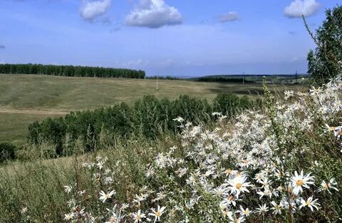 Погода на неделю в бородино красноярского края