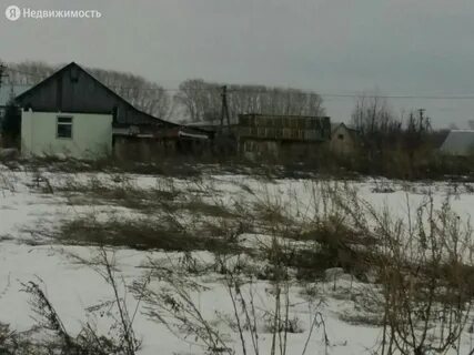 Калинники бирский