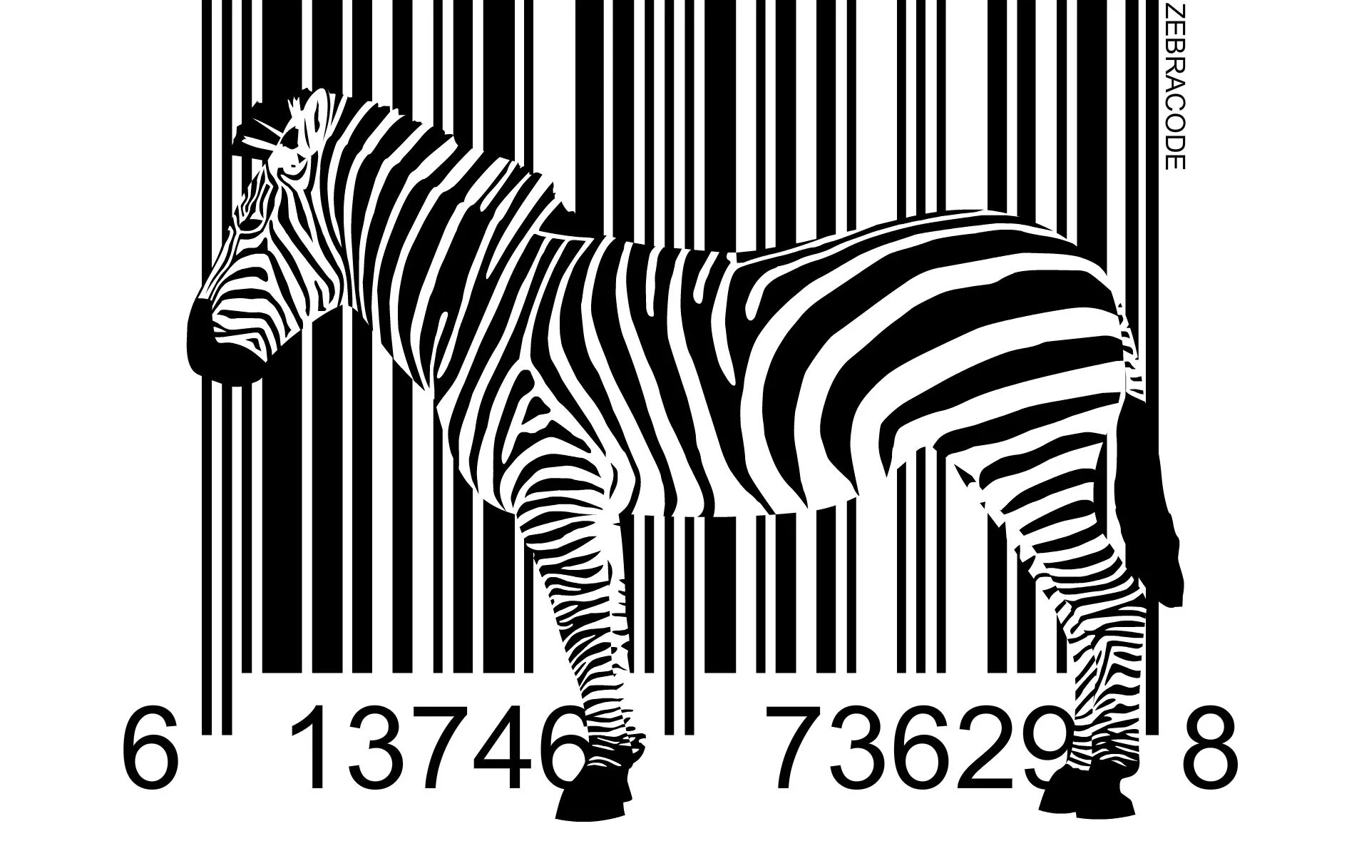 Зебра штрих кода. Штрих код. strih cod. shtrix code. зебра рисунок.