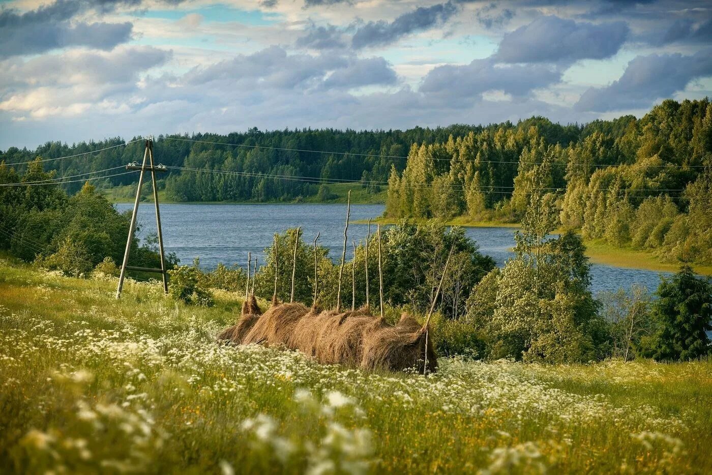 Кенозерский национальный парк. Кенозерский национальный парк природа. Кенозерский парк Архангельск. Природа россии матушки