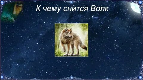 Толкование снов к чему снится волки