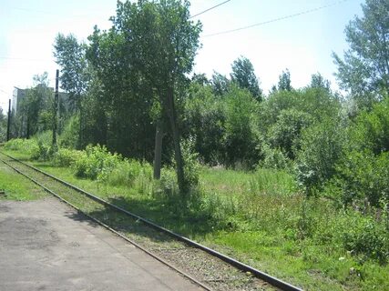 Красносельская область