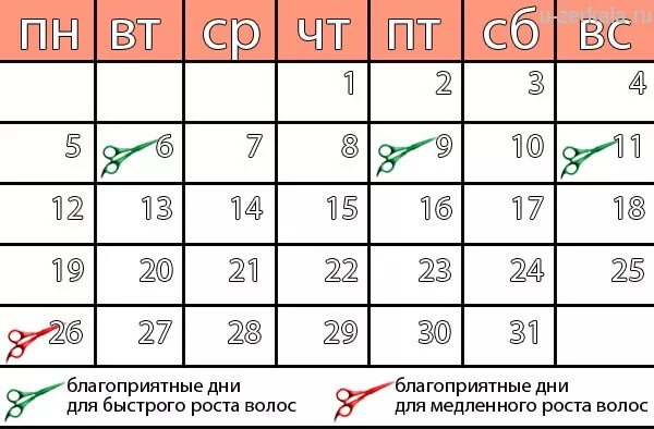 Стричь ногти сегодня по лунному календарю 2025 Pin by Fatima