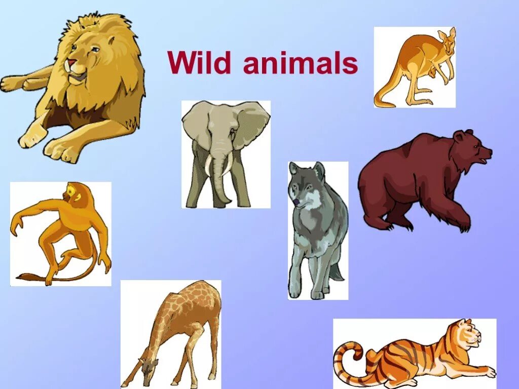 Английский язык 3 класс дикие животные. Wild animals для детей. Wild animals на английском. Звери для урока английского. Диких животных на урок.