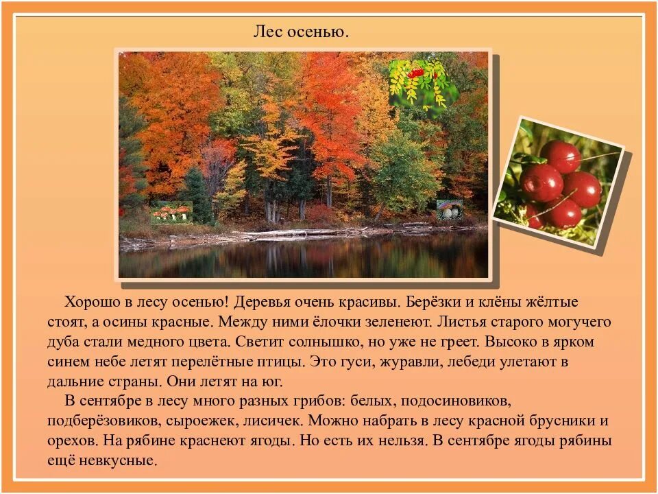 Составить текст осенний лес. Описание осени в лесу. сочинение на тему лес осенью. осенний лес сочинение. осенний лес для презентации.