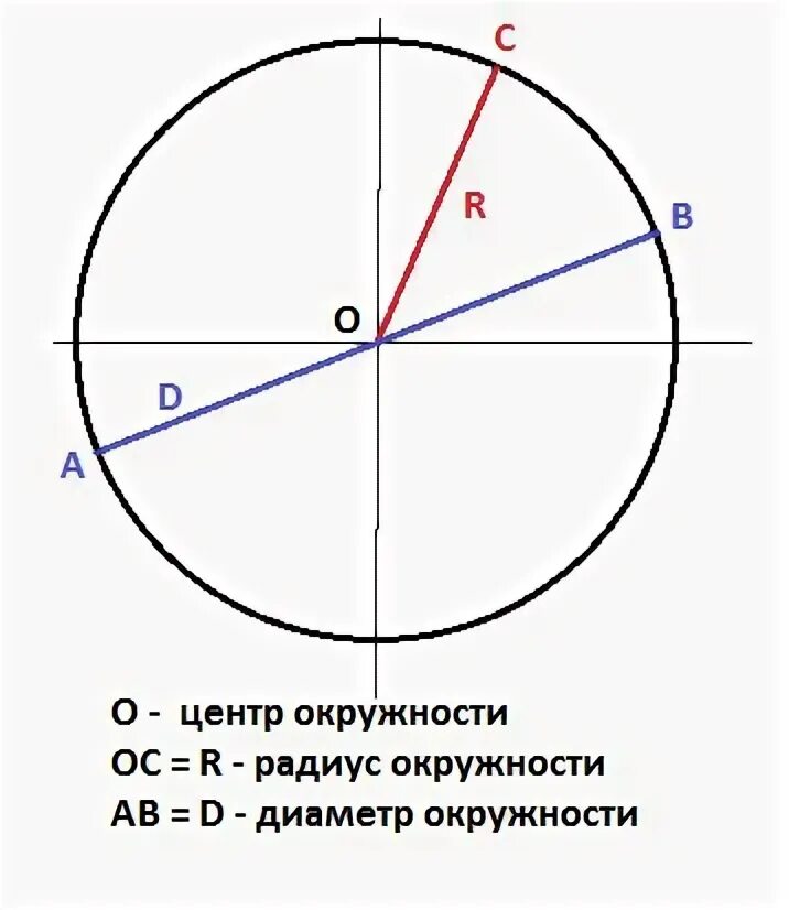 Окружность. Радиус окружности. Диаметр и радиус окружности рисунок. Радиус и диаметр окружности. Изобразить окружность центр радиус диаметр хорда