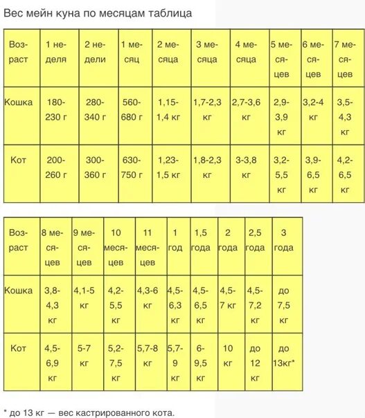 Мейн кун вес по месяцам таблица. Мейн кун таблица веса по возрасту. Сколько должен весить Мейн кун по месяцам таблица. Вес котёнка Мейн кун по месяцам таблица. Вес котят по месяцам мейн