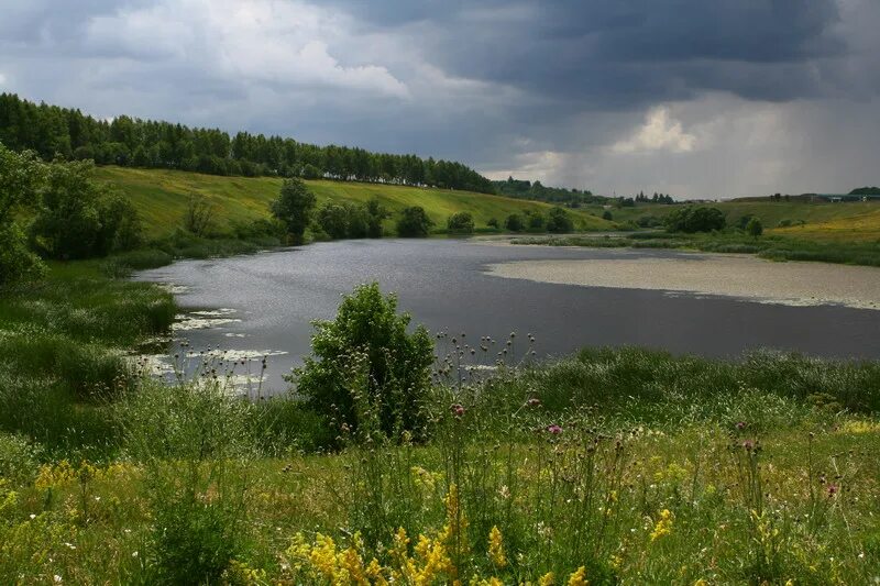 куда течет река осетр