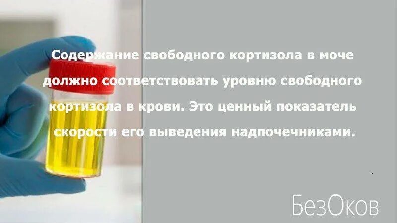 Кортизол слюны как сдавать правильно. Сбор суточной мочи на кортизол. Суточный анализ мочи. Суточная моча анализ. Как собирать суточную мочу на кортизол.