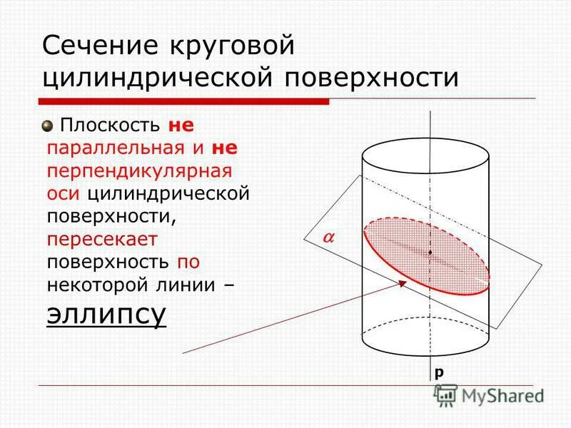 Сечение цилиндра проведенное плоскостью перпендикулярно оси. Сечение цилиндра перпендикулярное осевому сечению. Сечение цилиндра эллипс. Круговая цилиндрическая поверхность. Сечение цилиндра плоскостью под углом.