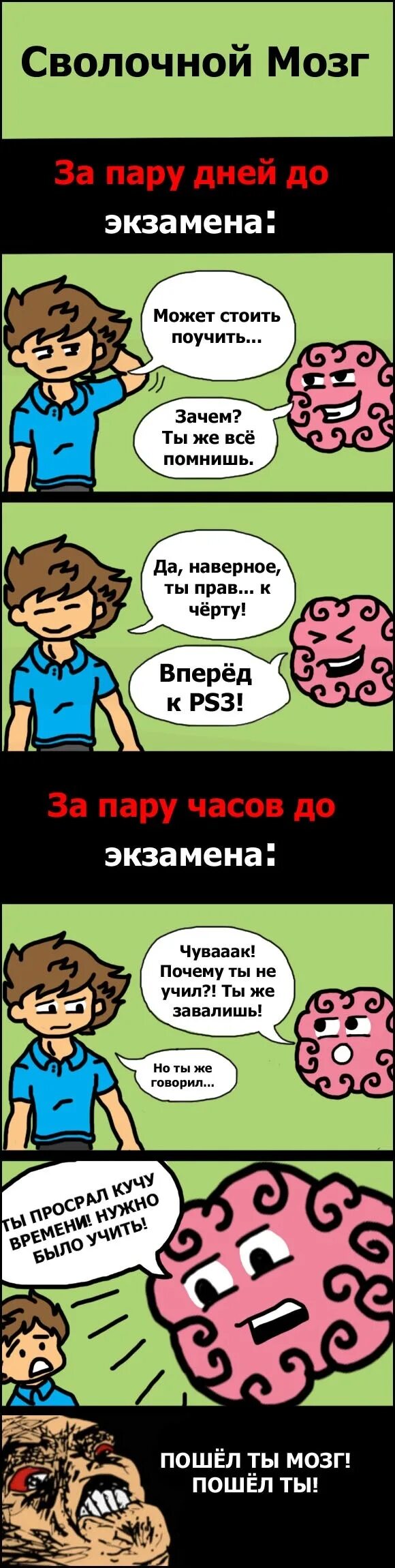 Мозг на экзамене. Мозг и экзамен прикол. Ночь перед экзаменом. Мозг перед сессией мемы.