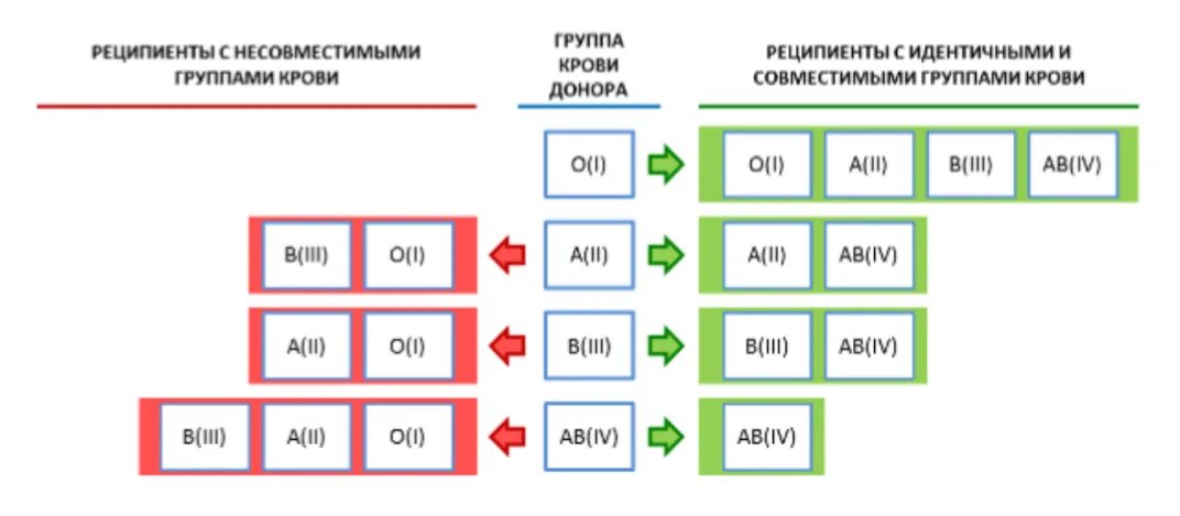 Группы крови доноры и реципиенты. Группа крови реципиент. Группа крови и донорство крови реципиент. Группа крови донор и реципиент таблица. Несовместимость по группе крови