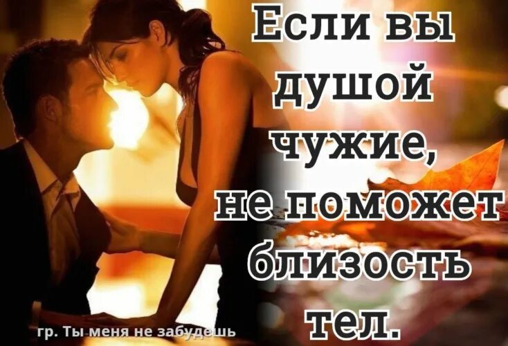 Близость значение слова. Душевная близость цитаты. Настоящая любовь между душами. Настоящая любовь не между телами а между душами. Любовь между душами а не телами.