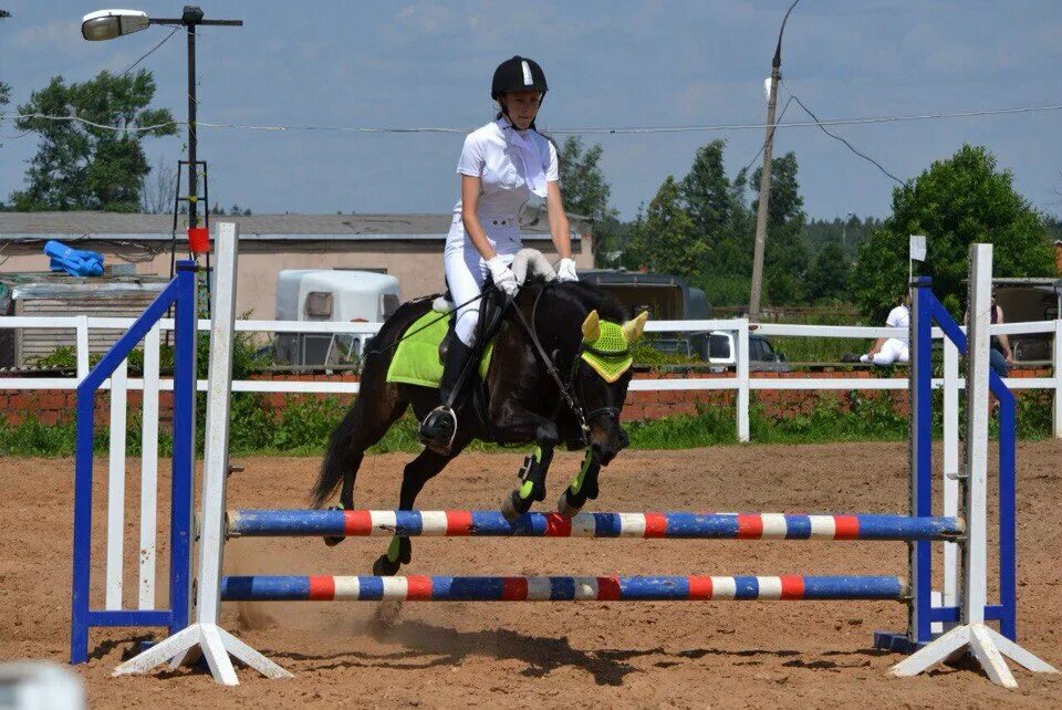 Феникс кск. Конный клуб Прибой. КСК Домодедово. Конный клуб Домодедово. Конный клуб Тольятти.