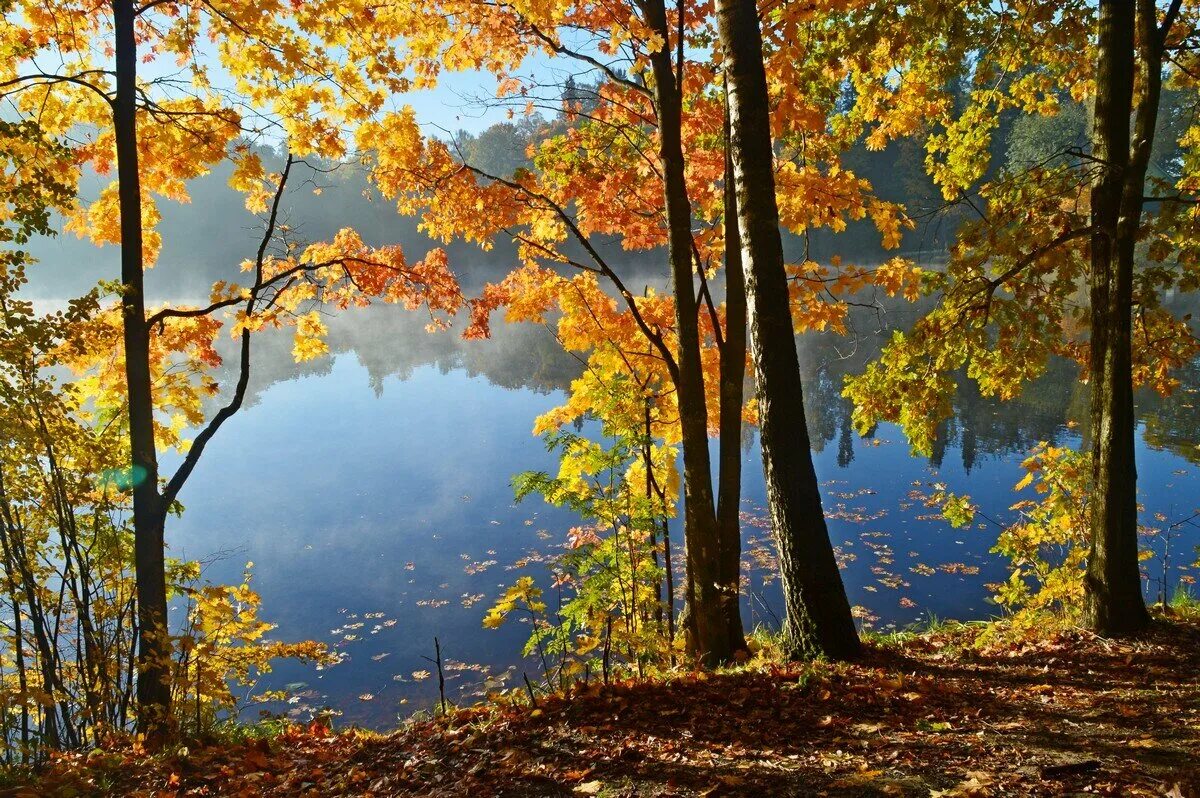 Осень красивое утро картинки. Осеннее утро. Октябрь пейзаж. Раннее осеннее утро. Утро осенью.