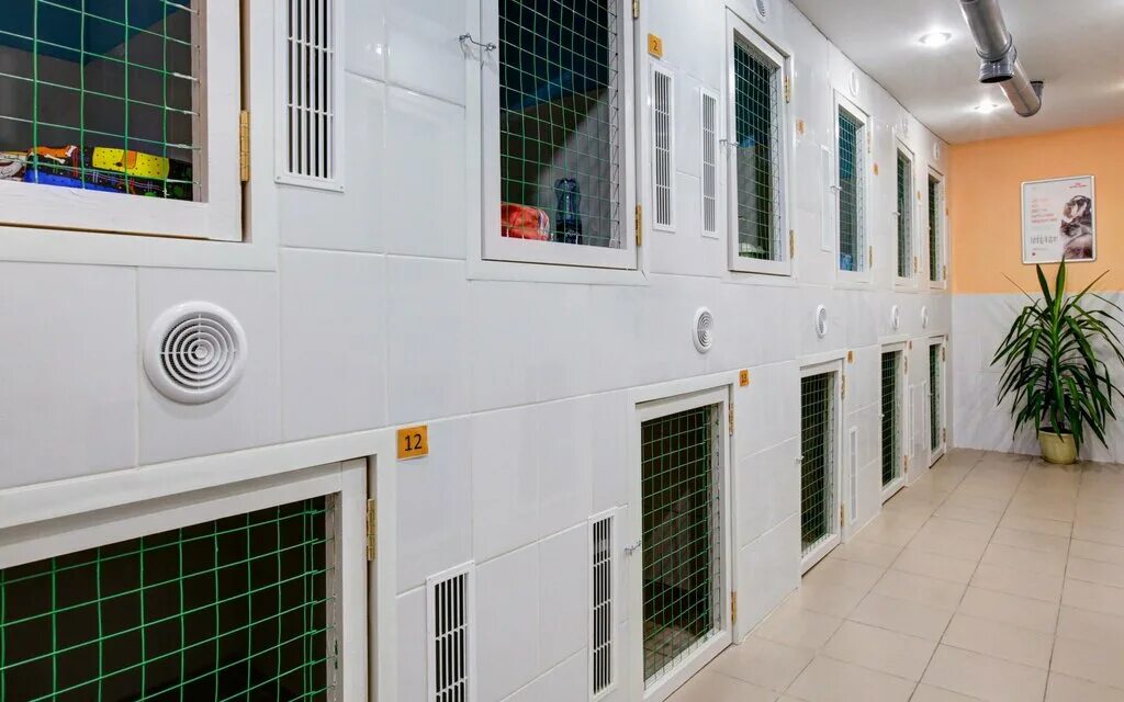 ветеринарка на 6 кожуховской. ветеринарная клиника любимый носик. ветеринарная клиника любимый носик. ветклиника бояринова 24. ветеринарная клиника любимый друг кириши.