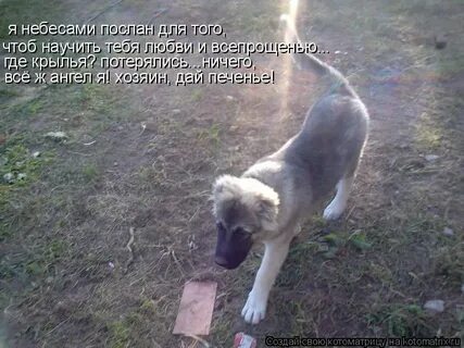 Чтоб научила