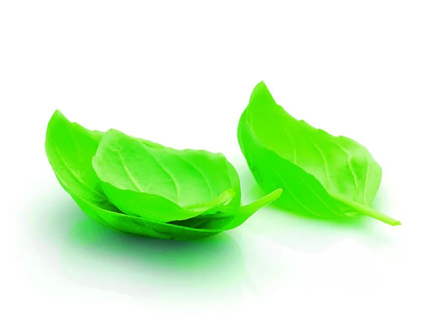 Салатные листья романо фиолетовые листья. Кислота в шпинате помидорах. Книга вкус листья коки. Листья пандана блюда. Панданус чайный лист.