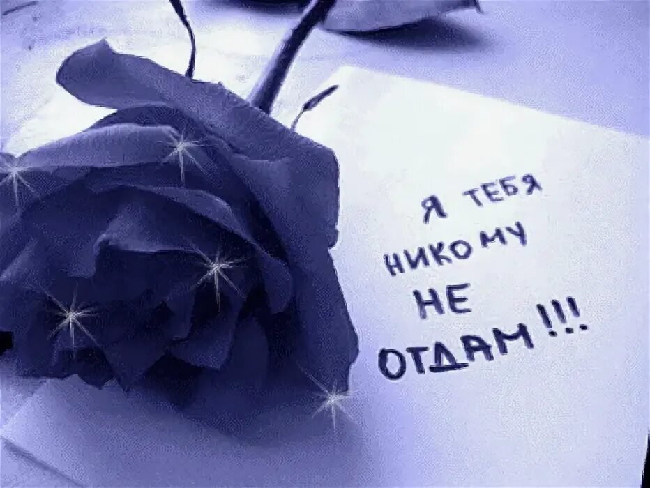 Себялюб никому не люб. Я тебя люблю. Открытки ты мне нужен. Открытки мне тебя не хватает. Люблю тебя любимая.