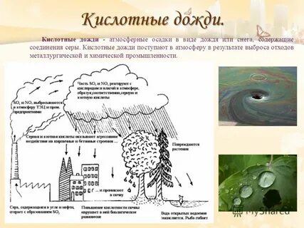 Из за чего возникают кислотные дожди