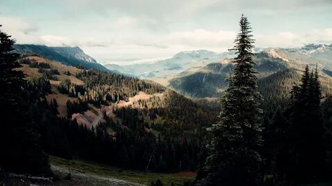 Unsplash
