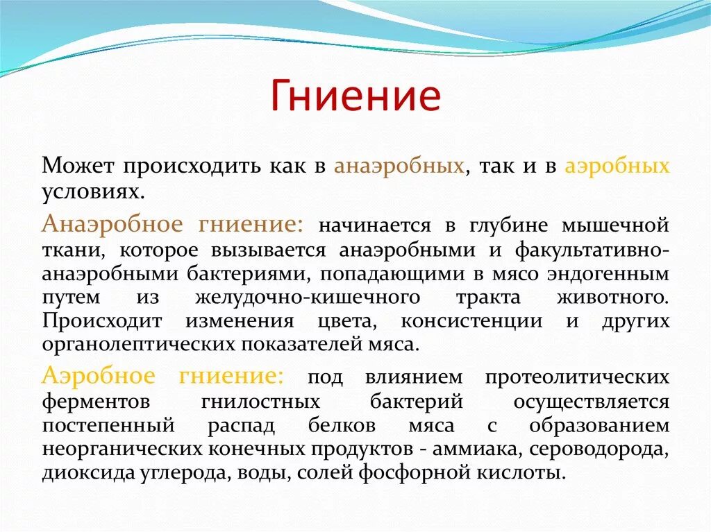 Признаки гнилостных бактерий. Процессы гниения микробиология. Процесс гниения мяса сущность процесса. Анаэробное гниение. Гниение в анаэробных условиях.