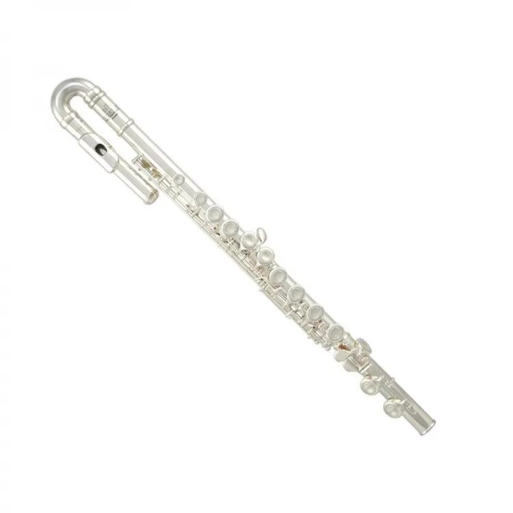 2 flutes. Флейта Roy Benson FL-402e. Флейта Roy Benson FL-602ri. Флейта "c" Armstrong FL-650ri. Roy Benson FL-102 - флейта.