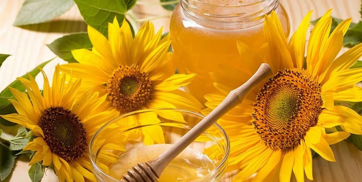 Мед подсолнух. Продукты пчеловодства. Подсолнечниковый мед польза. Букет из продуктов пчеловодства. Польза подсолнухового меда для организма.