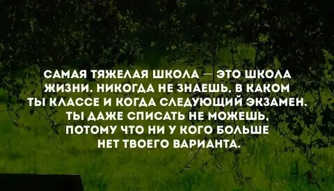Стать жестче в жизни