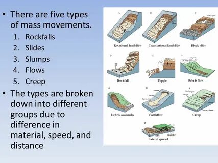 Five types