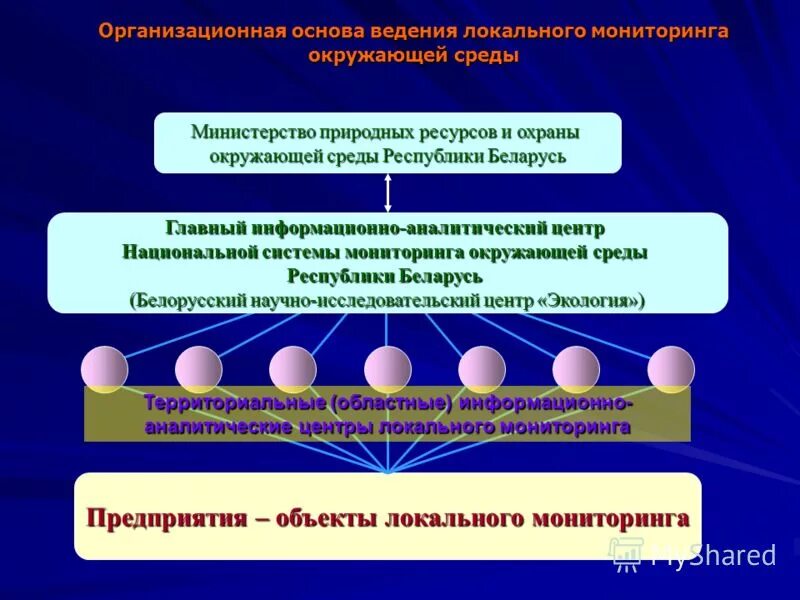 Министерство охраны окружающей среды и природных ресурсов Беларусь. Система мониторинга и охраны окружающей среды. Охрана окружающей среды в Беларуси. Министр природных ресурсов и охраны окружающей среды РБ. Акты минприроды