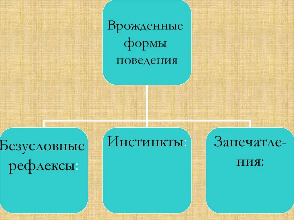 Врожденные формы безусловные рефлексы и инстинкты поведения