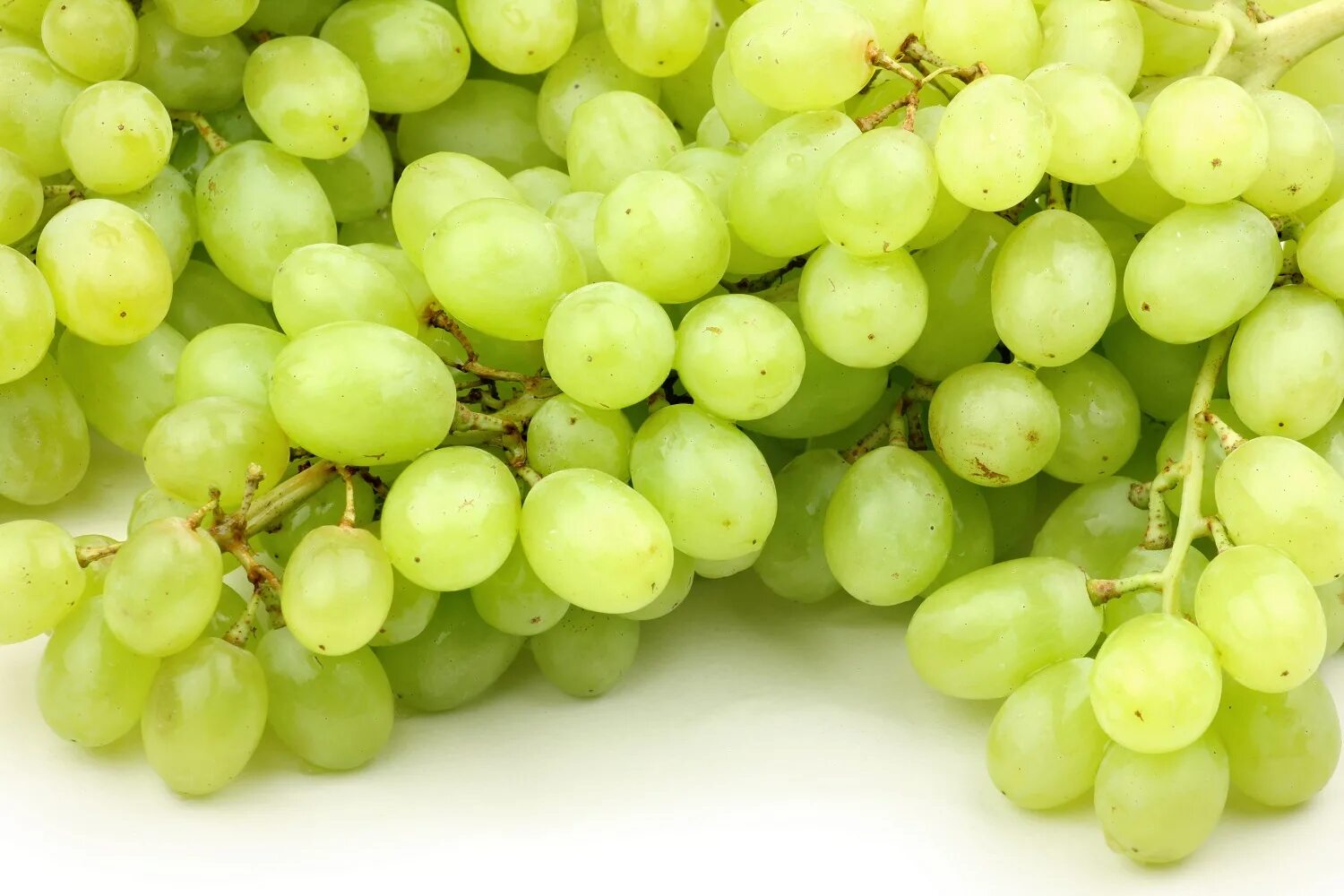 Виноград зеленый. Сочный виноград. Виноград зеленый и белый. Салатовый виноград. Кишмиш зеленый