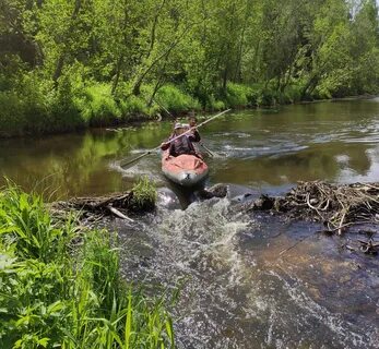 Тьма тверская область