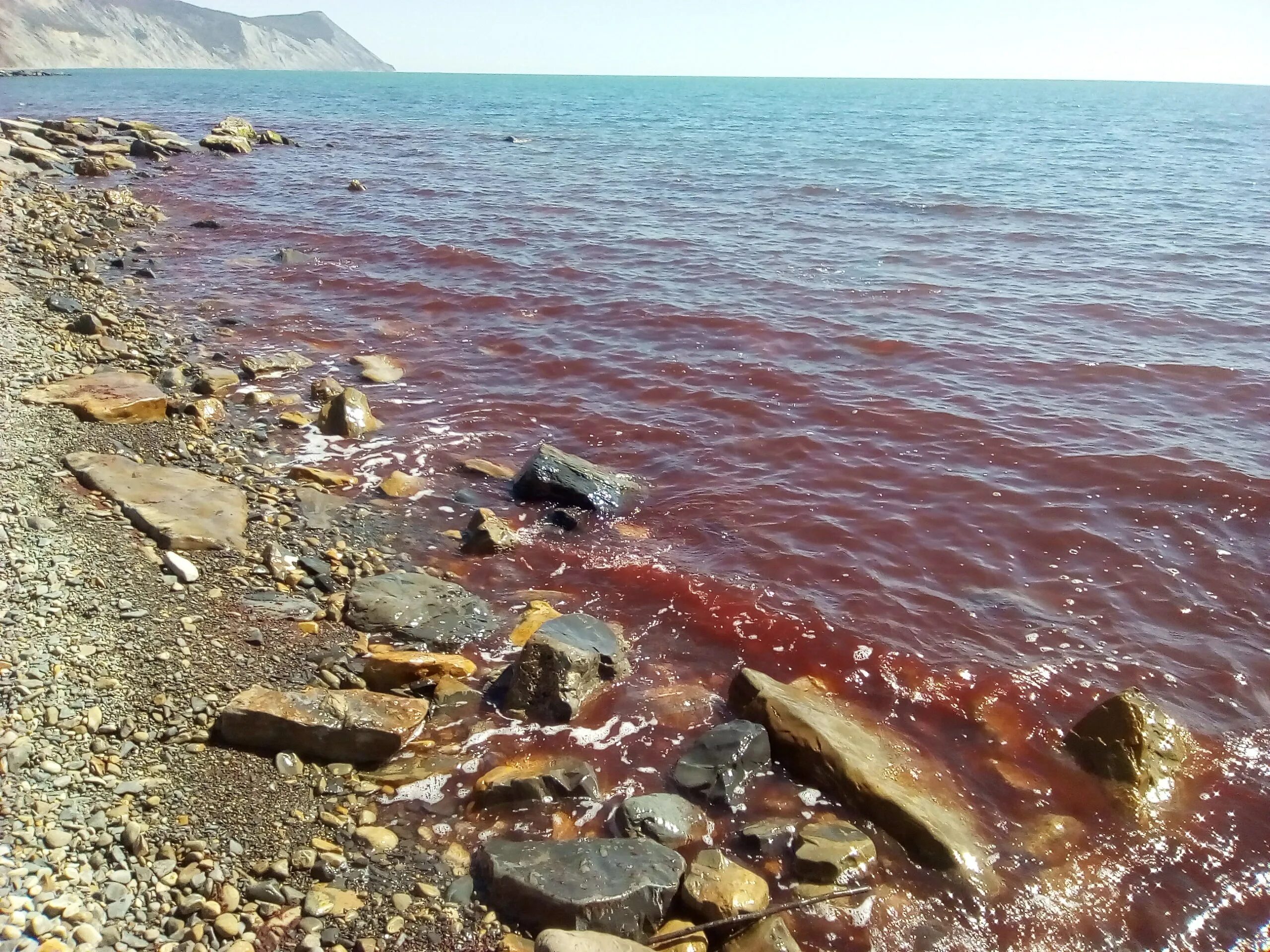 прибой на галечном пляже. вода на побережье черного моря. чёрное море фото сочи. сукко морская волна. каменистый пляж сочи.
