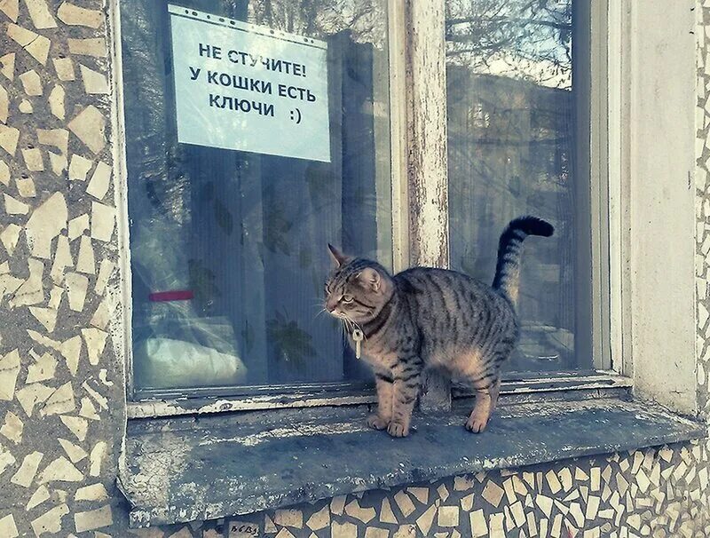 Ну сама открой
