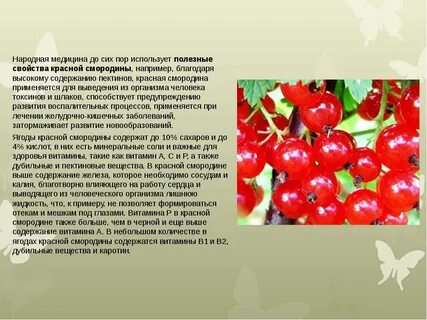 Красная смородина витамины