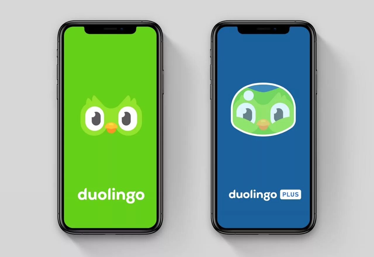 Duolingo купить. Дуолинго. Дуолинго логотип. Дуолинго 2019. Duolingo скрины.