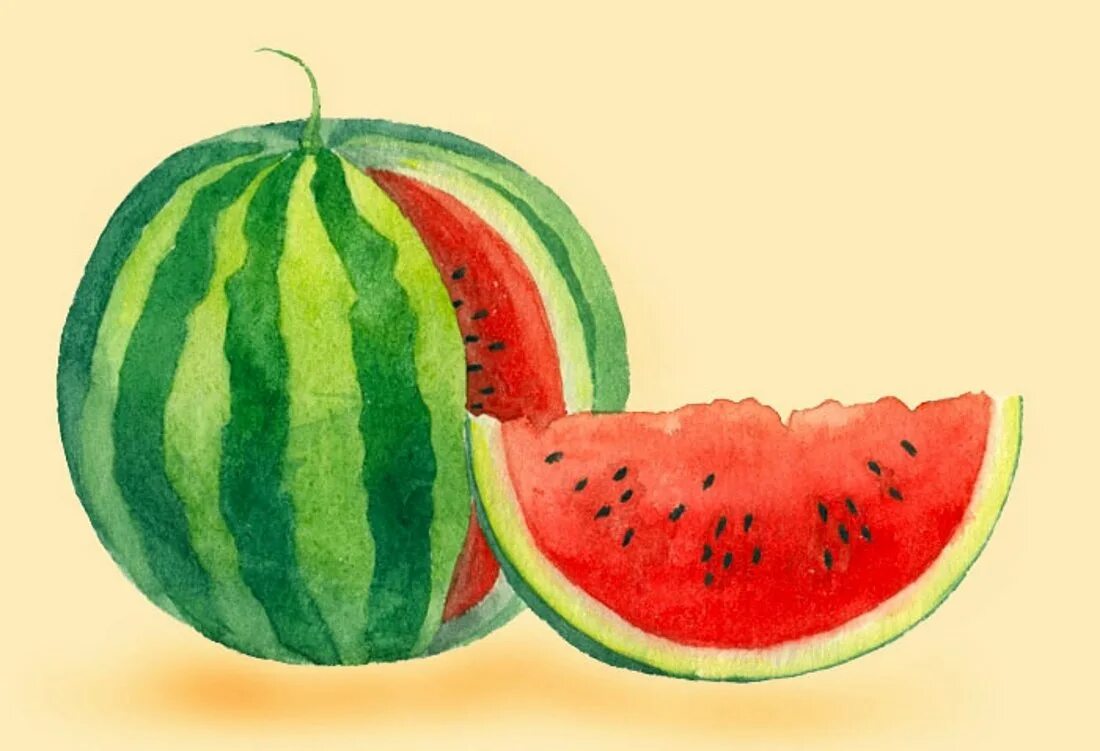 нарисовать арбуз. векторный арбуз. рисование арбуз. наклейка арбуз. арбуз на прозрачном фоне.