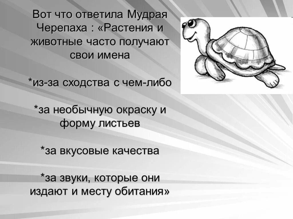 Про черепаху 1 класс. Черепашка окружающий мир. Мудрая черепаха. Мудрая черепаха окружающий мир. Черепаха окружающий мир 1 класс.