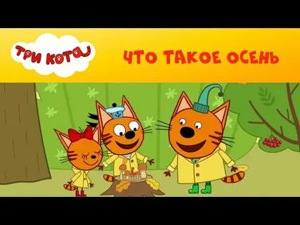Три кота на природе
