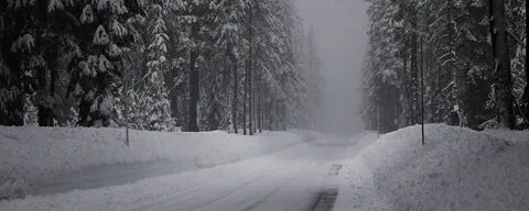 Стих снежная дорога