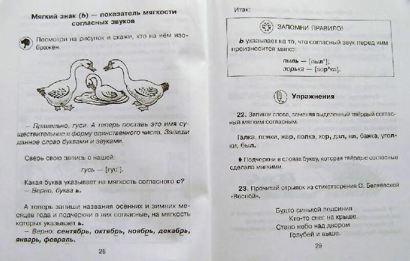Диктант 2 класс проверочная работа. Русский язык диктант. звуковой диктант 1 класс. фонетика диктант. диктант 2 класс по русскому гуси.