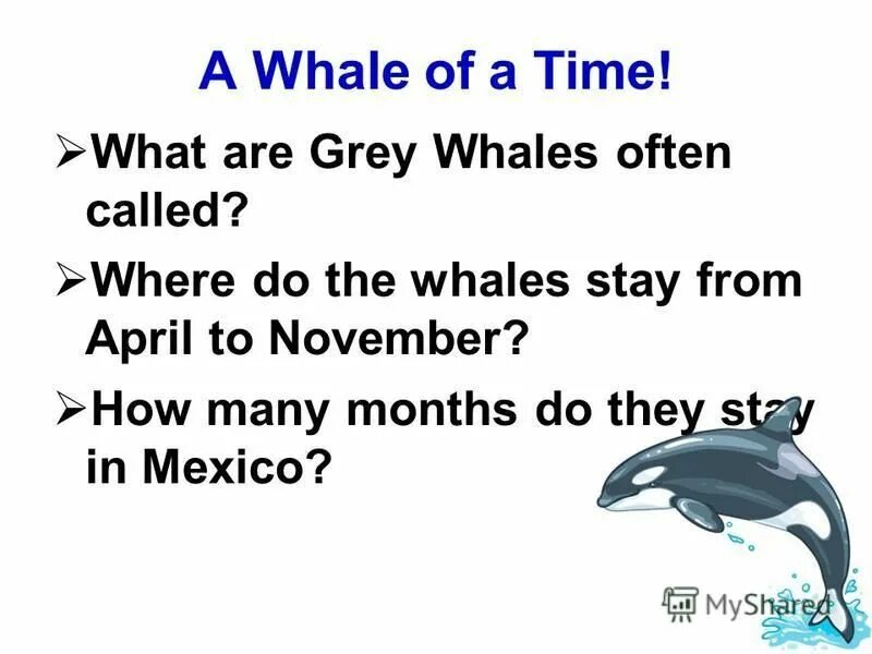 A whale of a time перевод идиомы. Often called friendly whales. A whale of a time перевод. Often called friendly whales. Often called friendly whales.