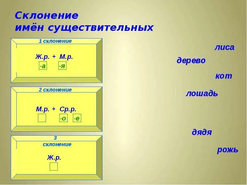 Склонение существительное дядя