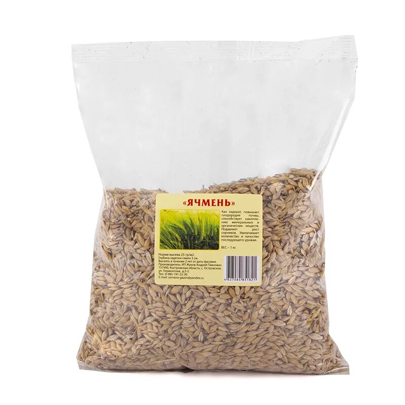 Озимая рожь технология возделывания. Озимая пшеница всходы кущение. Возделывания озимого ячменя. Всходы яровой пшеницы. Сидерат яровой ячмень.