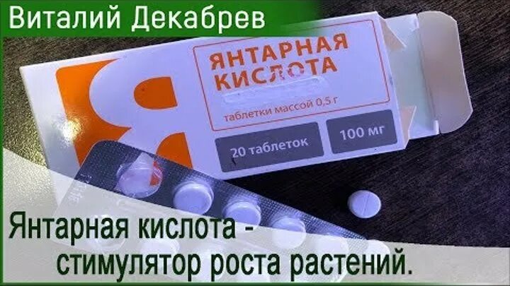 Подкормка янтарной кислотой в таблетках. Янтарная кислота для полива рассады. Янтарная кислота 400 мг для растений в таблетках. Янтарная кислота для растений и рассады. Янтарная кислота табл для рассады.