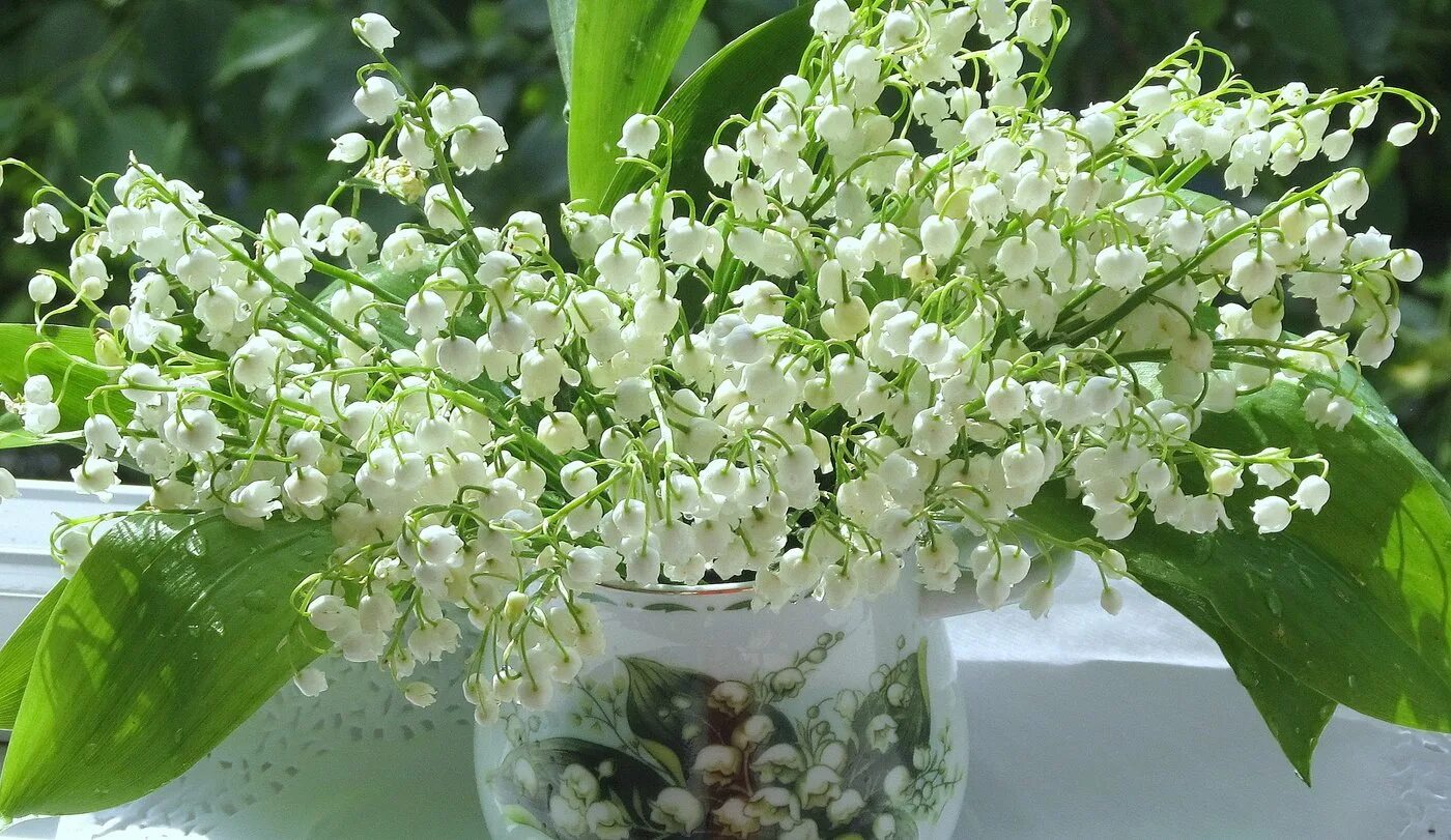 Ампельные ландыши. Ампельные ландыши. Свадебный букет ландыши. Ампельные ландыши. Ампельные ландыши.