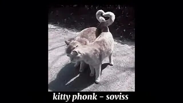 Kitty Fonk soviss. Kitty Phonk soviss. Kitty Fonk обложка soviss. Характер Kitty Phonk-soviss. Soviss kitty phonk