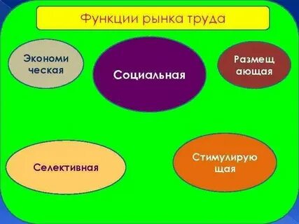Функции рынка труда конспект